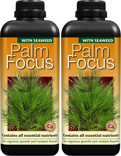 Growth technology ltd - growth, ltd,1l,black