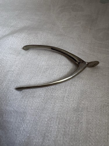 Antique novelty victorian - antique,