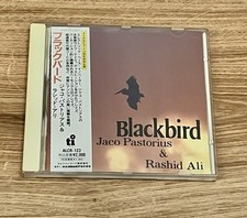 Jaco Pastorius & Rashid Ali