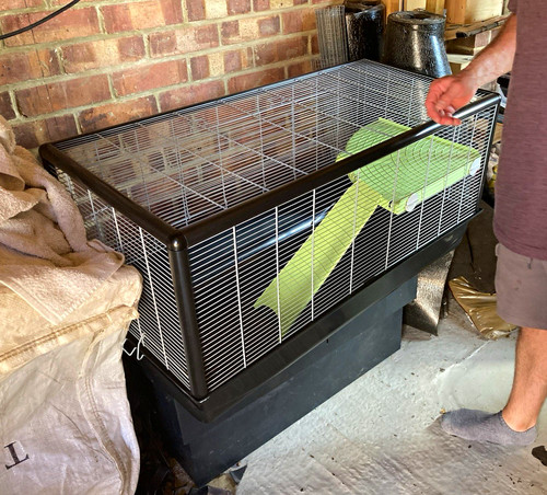 Hamster standard cage tier - standard,