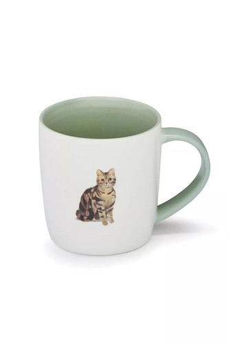 Cooskmart curious cats barrel - cooskmart,