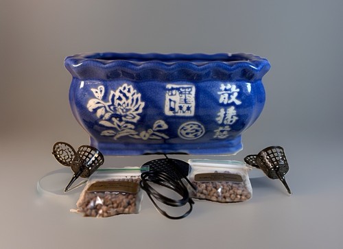 Bonsai pot deep blue - bonsai, white