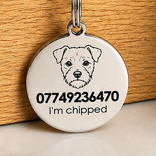 Personalised border terrier - border,