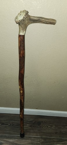 Vintage antique antler - vintage, stag