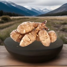 Jerusalem Artichoke White