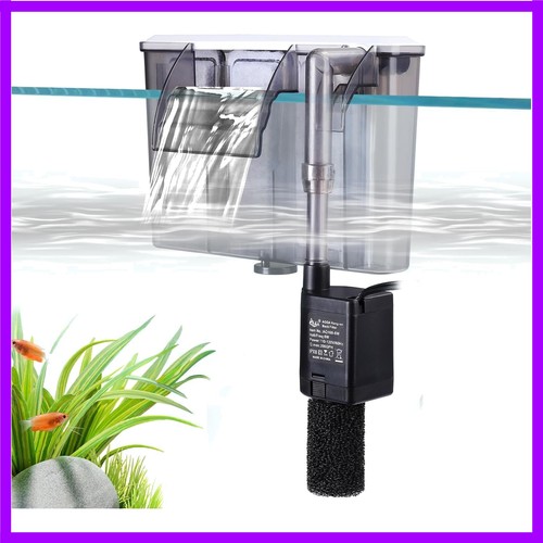 Quiet gallon fish - gallon,
