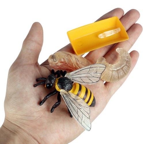 4pcs growth playset - 4pcs,