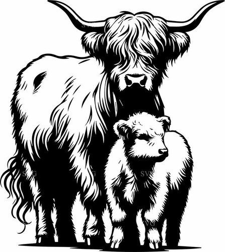 Highland cow head - cow,