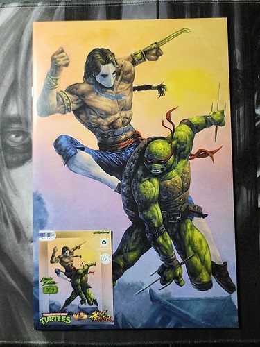 Tmnt street fighter - street,