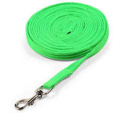 Shires ARMA Cushion Web Lunge