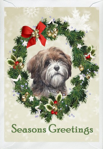 Tibetan terrier dog christmas - terrier,