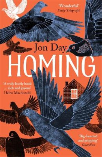 Homing pigeons dwellings - homing:, pigeons,