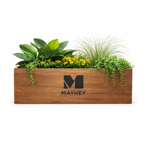 Wooden planter box for - wooden, indoor