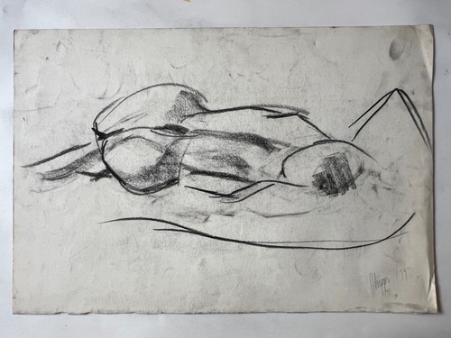 Phipps charcoal drawing - charcoal,