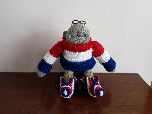 Tips monkey outfit jumper - pg,