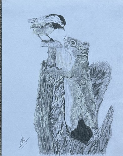Signed original pencil - pencil, drawing