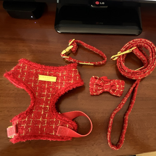 Coco pup london red - pup,