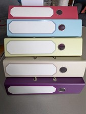 Lever Arch Folder with Punched pockets (100) and dividers (5)