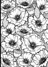 Rubber Stamp Poppy Background