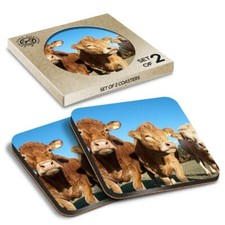 2 x Boxed Square Coasters -