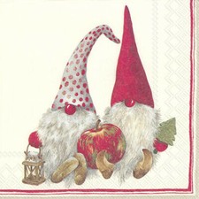 FRIENDLY TOMTE red gnome
