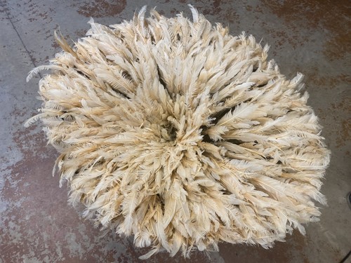 Cream traditional feather - traditional,