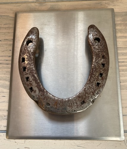 Heavy vintage metal - vintage, horse