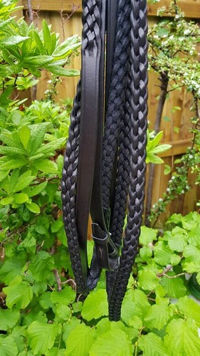 Plaited showing reins - plaited, 5/8"