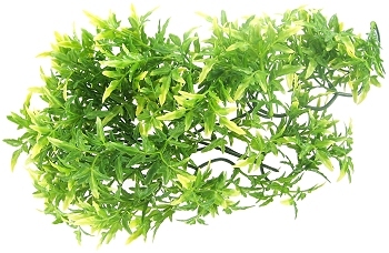 Zoo med reptile natural bush - zoo,