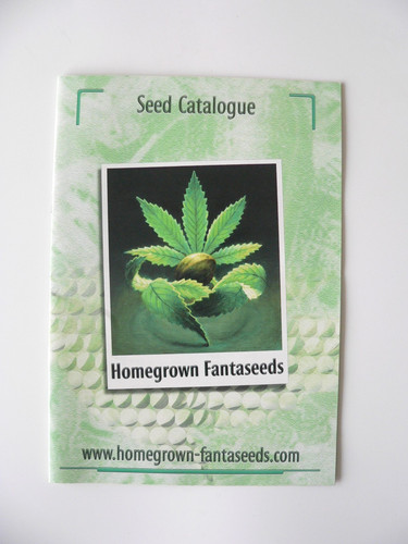 Homegrown fantaseeds cannabis - homegrown,