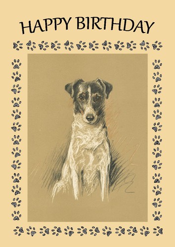 Smooth fox terrier dog - smooth,