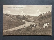Shoogley Brig Glen Strathaven Lanarkshire Vintage Postcard T1