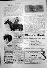 Old La Duchess D'Uzes French Master Hounds Cheriton Otterhounds 1910 20th