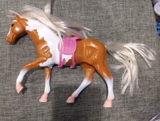 Lori Horse our generation