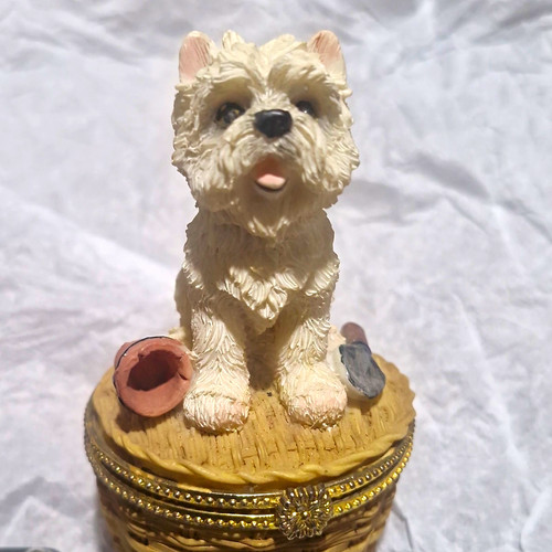 West highland white - highland, terrier