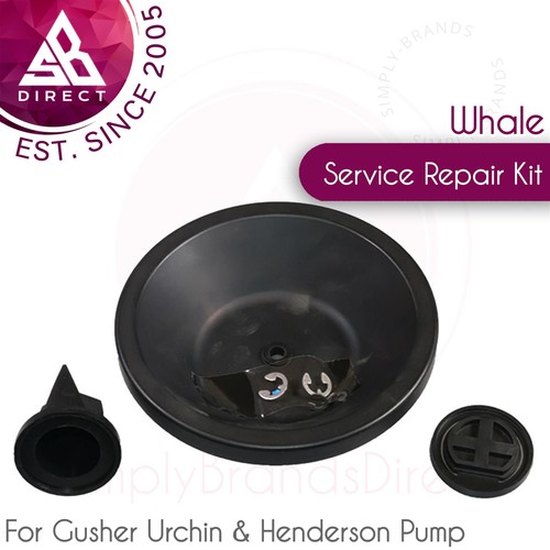 Whale gusher urchin bilge - urchin,