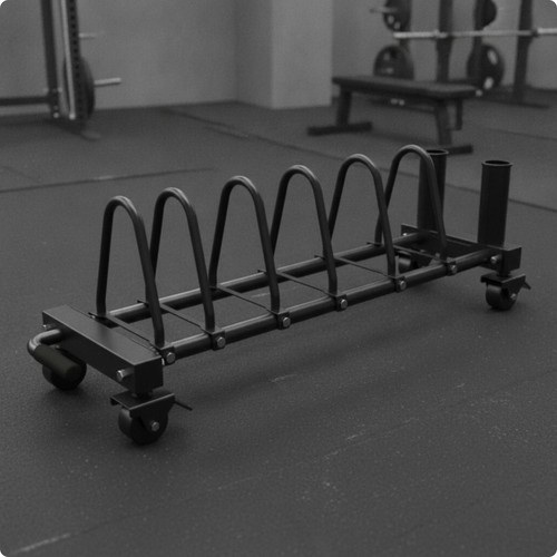 Exercise disc storage - disc,
