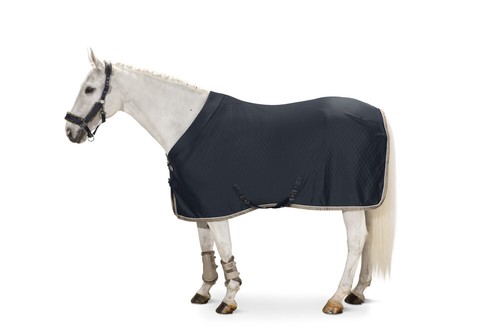 Eskadron sweatshirt aerial