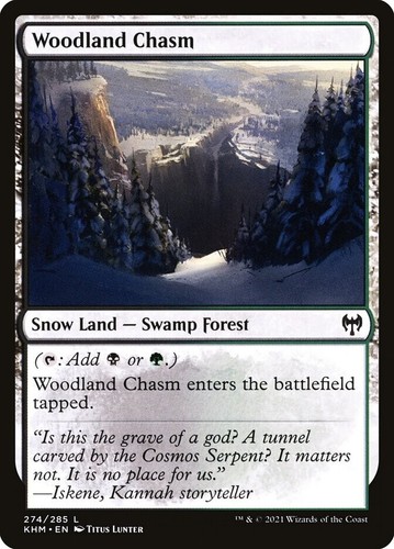 Mtg woodland chasm - chasm, (foil)