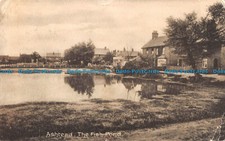 R091613 Ashtead. The Fish