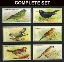 ENGLISH BIRDS R.J. LEA CIGARETTE CARD 1922 COMPLETE SET 25 GOOD CONDITION