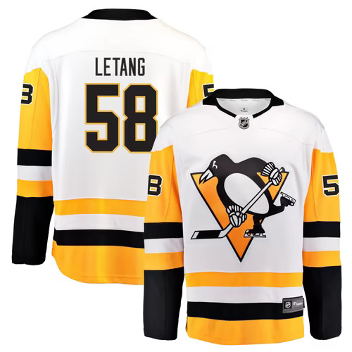 Pittsburgh penguins nhl ice - pittsburgh,