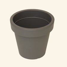 Aura Large Round Plastic Plant