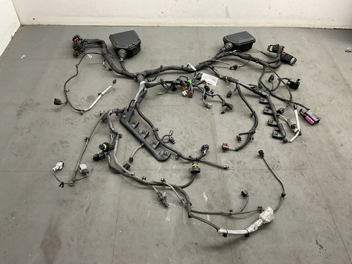 Complete engine wiring - , harness