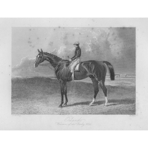Orlando racehorse winner of - orlando, racehorse,