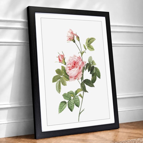 Rose turbine pink flowers - rose, in