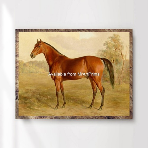 Vintage horse painting - horse,