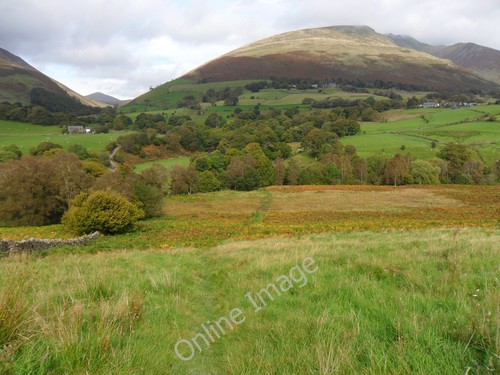 Photo 6x4 footpath leading - photo,