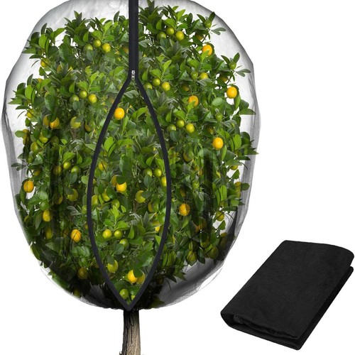 Fruit tree netting screen - fruit,