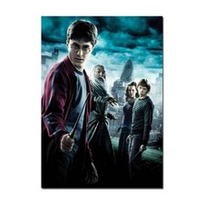 Harry potter half blood - harry,